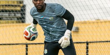 Lionel Mpasi-Nzau